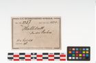 Etikett zu Glasgefäß (NHMW-PRAE-002367)